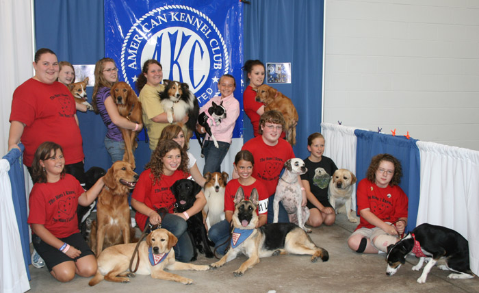 kennel club training